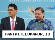 Pemerintah Kirim Utusan ke DSI Demi Awasi Praktik Monopoli