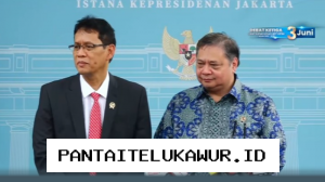Pemerintah Kirim Utusan ke DSI Demi Awasi Praktik Monopoli