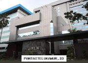 Pemulihan Jaringan Listrik di Sumatra Didukung oleh Tindakan Responsif dari PLN