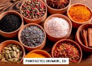 Pengembangan Produk Herbal Indonesia untuk Menembus Pasar Global