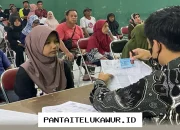 Penyaluran Bansos Tahap Dua Mulai Cair, PKH dan BPNT Disebar ke Bank Himbara, Cek Wilayah Penerima