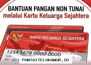 Penyaluran BPNT Tahap Ini Capai Tujuh Wilayah, Dana Rp600 Ribu Segera Masuk Rekening KKS BNI