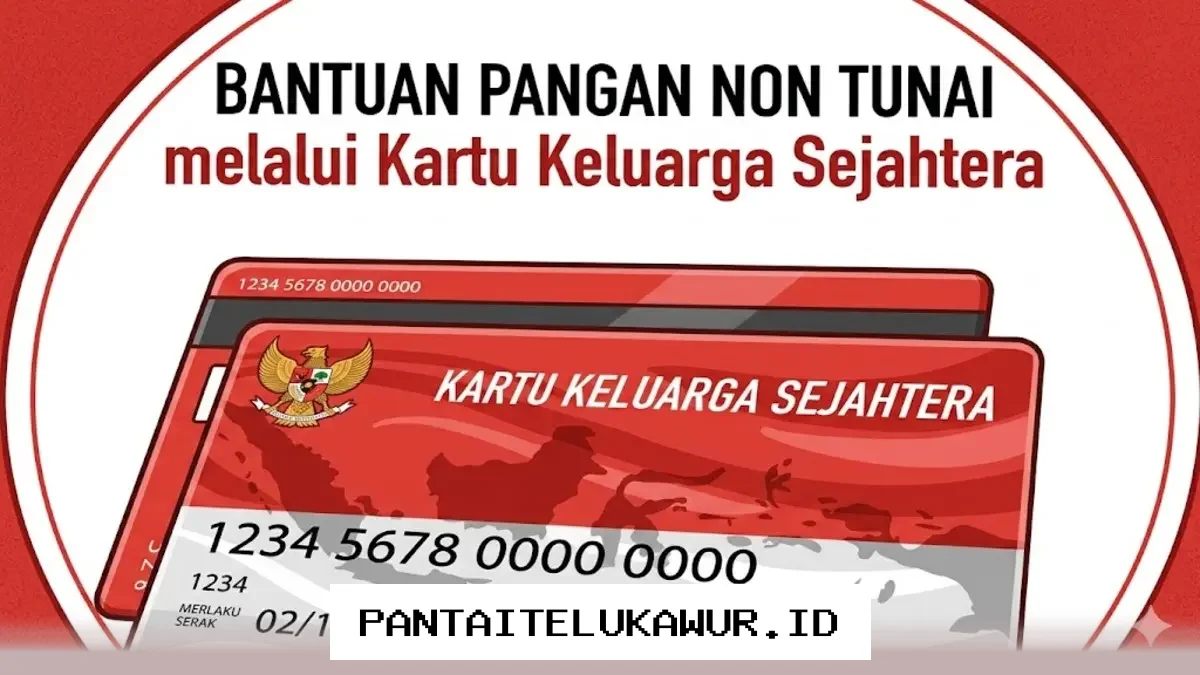 Penyaluran BPNT Tahap Ini Capai Tujuh Wilayah, Dana Rp600 Ribu Segera Masuk Rekening KKS BNI