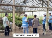 PLN EPI Terapkan Teknologi Digital untuk Pengembangan Pembibitan Mangrove di Cilacap