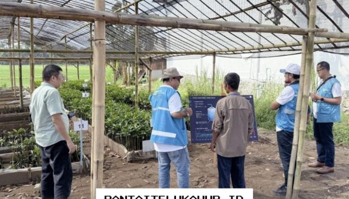 PLN EPI Terapkan Teknologi Digital untuk Pengembangan Pembibitan Mangrove di Cilacap