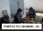 PT Vale Kolaborasi dengan Pemerintah Kabupaten Luwu Timur untuk Meningkatkan Kesejahteraan Masyarakat melalui Program Pertanian Ramah Lingkungan