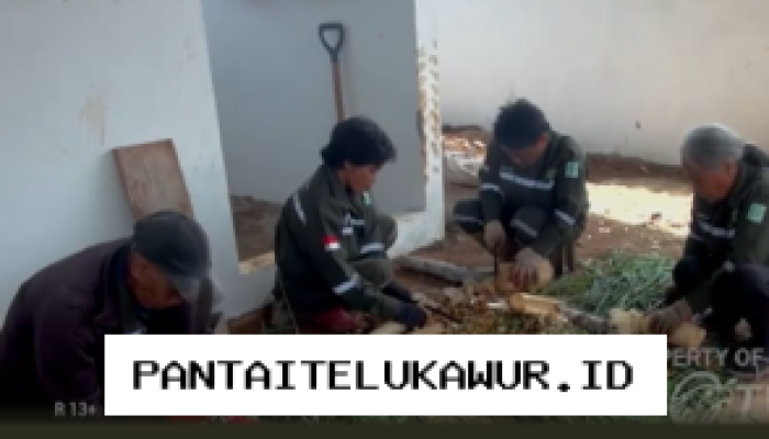 PT Vale Kolaborasi dengan Pemerintah Kabupaten Luwu Timur untuk Meningkatkan Kesejahteraan Masyarakat melalui Program Pertanian Ramah Lingkungan
