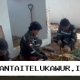 PT Vale Kolaborasi dengan Pemerintah Kabupaten Luwu Timur untuk Meningkatkan Kesejahteraan Masyarakat melalui Program Pertanian Ramah Lingkungan