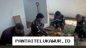 PT Vale Kolaborasi dengan Pemerintah Kabupaten Luwu Timur untuk Meningkatkan Kesejahteraan Masyarakat melalui Program Pertanian Ramah Lingkungan
