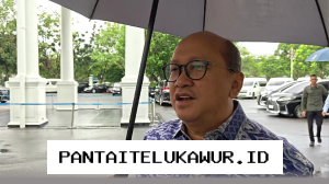 Rosan Pilih Luke Thomas Jadi Pimpin PT DSI Karena Alasan Ini