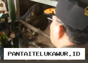 Sapi Asal Kupang Jumlahnya 275 Ekor Tiba di Pelabuhan Tanjung Priok Menjelang Iduladha