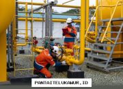 Strategi Peningkatan Efisiensi dan Kinerja Sumber Daya Manusia di Lingkungan Kerja Modern