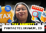 Tax Amnesty: Pengertian, Mekanisme, dan Keuntungan yang Diperoleh Wajib Pajak dalam Program Ini-Edukasi Ekonomi