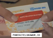 Update Terkini Proses Sinkronisasi Data Bansos, Atasi Masalah Periode Mandek dan Informasi Saldo Terbaru Bank Mandiri 12 Mei 2026