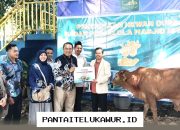 Bank Muamalat Gelar Aksi Qurban Raya 2026 untuk Sejahterakan Umat Beragama