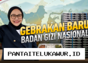 BGN Umumkan Aturan Baru untuk Program MBG, Fokus pada Efisiensi dan Transparansi