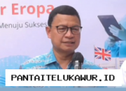 BPOM Beri Kemudahan Regulasi untuk Pertahankan Stabilitas Harga Obat di Pasar Farmasi Nasional
