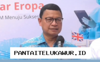 BPOM Beri Kemudahan Regulasi untuk Pertahankan Stabilitas Harga Obat di Pasar Farmasi Nasional