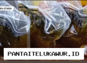 Bulog Sumut Jamin Ketersediaan MinyaKita Tetap Terjaga, Ajak Warga Hindari Pembelian Berlebihan