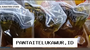 Bulog Sumut Jamin Ketersediaan MinyaKita Tetap Terjaga, Ajak Warga Hindari Pembelian Berlebihan