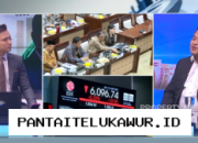 Ekonom Sebut Sinergi Kebijakan Menkeu dan BI Perkuat Stabilitas Nilai Tukar serta Pasar Saham Nasional