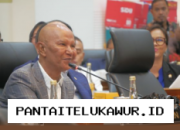 Harga Minyak Global Anjlok, Komisi VII DPR Dorong Pemerintah Tunda Penurunan Tarif BBM Nonsubsidi