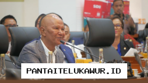 Harga Minyak Global Anjlok, Komisi VII DPR Dorong Pemerintah Tunda Penurunan Tarif BBM Nonsubsidi
