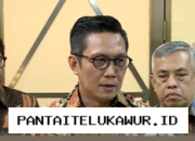 Indeks Harga Saham Gabungan Anjlok, Bursa Efek Imbau Investor Jaga Stabilitas Pasar