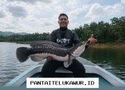 Industri Peralatan Memancing Tumbuh Pesat Berkat Platform Digital Edukasi dan Rekreasi
