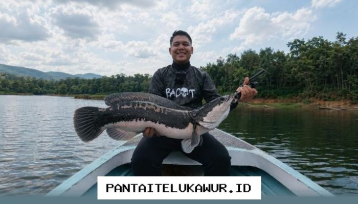 Industri Peralatan Memancing Tumbuh Pesat Berkat Platform Digital Edukasi dan Rekreasi