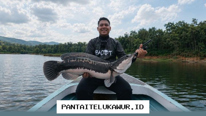 Industri Peralatan Memancing Tumbuh Pesat Berkat Platform Digital Edukasi dan Rekreasi