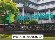 Kemenkes Buka Lowongan Kerja Juni 2026 untuk Posisi FAA dan Verifikator TB