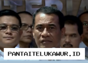 Mentan Sebut Ada Anomali, Larang Harga TBS Sawit Jatuh Kembali