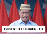 Menteri Pertanian Konfirmasi ke Presiden Prabowo bahwa Harga TBS Sawit Telah Kembali Stabil