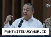Pemerintah dan BI Terapkan Dua Pendekatan Penting untuk Menjaga Stabilitas Nilai Tukar Rupiah