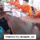 Pemerintah Salurkan Tujuh Bantuan Sosial Mulai Juli 2026, Termasuk PKH Tahap Ketiga dan BPNT