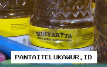 Pemerintah Siapkan Kenaikan Harga Eceran Tertinggi Minyakita, Simak Alasannya