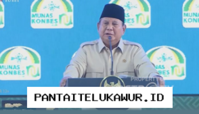 Prabowo Rencanakan Penghematan Anggaran dengan Menutup 800 BUMN yang Tak Efisien Hingga 2026