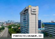 RUPS PLN Resmi Tetapkan Struktur Baru Direksi Perusahaan Ini Daftar Lengkapnya
