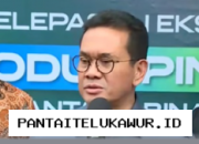 Subsidi Kedelai Rp2.000 per Kilogram Resmi Disalurkan untuk Produsen Tempe Nasional