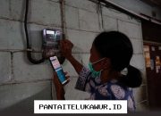 Tarif Listrik PLN Terkini untuk Seluruh Golongan Pengguna Juni 2026