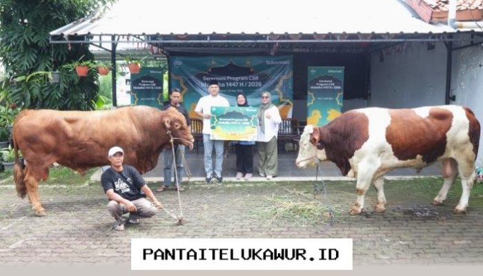 Telkomsel Salurkan Hewan Kurban Iduladha 1447 H untuk Perluas Manfaat bagi Masyarakat dengan Semangat Kebersamaan
