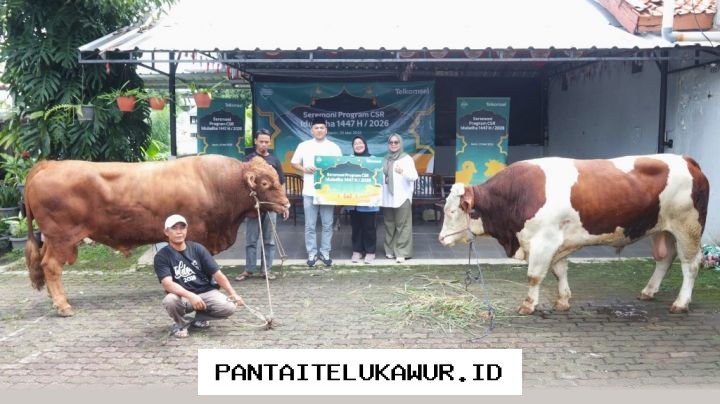 Telkomsel Salurkan Hewan Kurban Iduladha 1447 H untuk Perluas Manfaat bagi Masyarakat dengan Semangat Kebersamaan