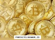 Bitcoin Stagnan di Level USD66.000, Investor Tunggu Kebijakan Regulasi Kripto dari Amerika Serikat
