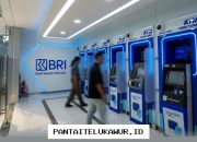 BRI Catat Pendapatan Pajak Tertinggi di Sektor Perbankan Indonesia, Dorong Kemajuan Infrastruktur dan Ekonomi Nasional Melalui Danantara