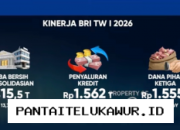 BRI Catat Rekor Dividen Tertinggi Sepanjang Masa di Bawah Kepemimpinan Danantara