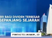 BRI Catatkan Rekor Pembagian Dividen Tertinggi Dalam Sejarah Perusahaan