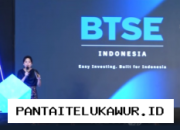 BTSE Resmi Beroperasi di Indonesia, Siapkan 200 Jenis Token Kripto untuk Pengguna Lokal