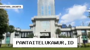Danantara Dorong Pengembangan 26 Proyek Hilirisasi dengan Nilai Investasi Capai Rp225 Triliun