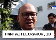 Danantara Pastikan Lebih dari 250 BUMN Mengalami Perampingan pada Akhir Juli Ini